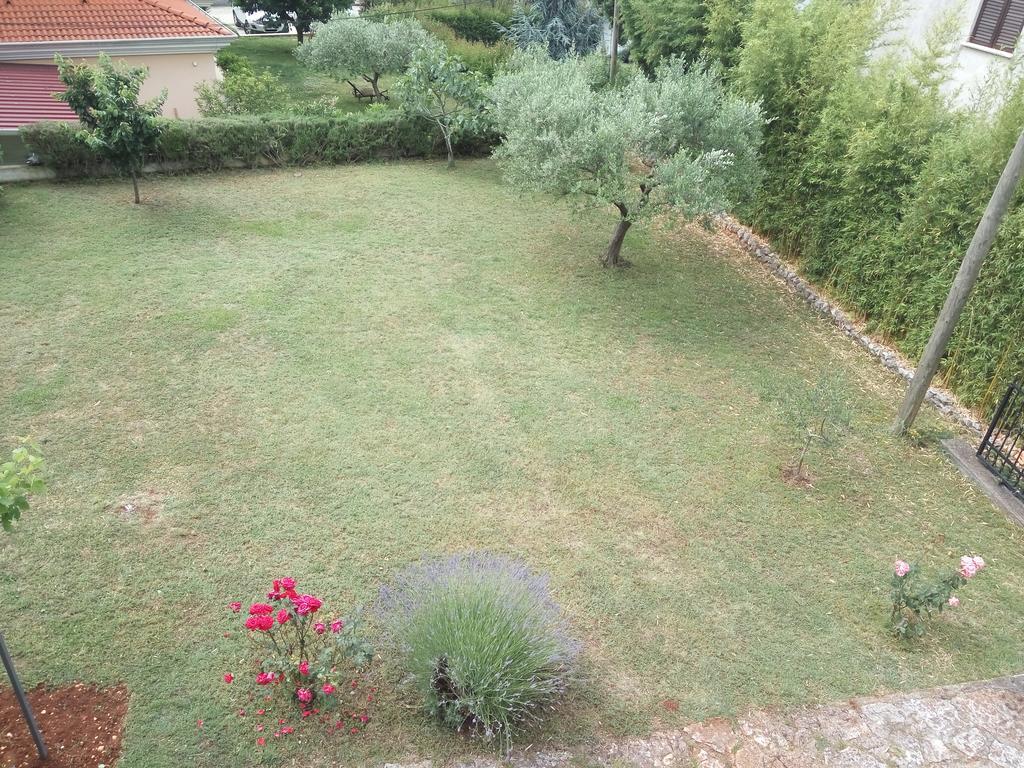 Apartment Asparagus Ровінсько-Село Екстер'єр фото